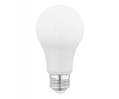 LED Light bulb A19