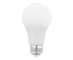 LED Light bulb A19