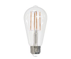 LED Light bulb ST19 3000K
