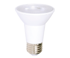 LED Light bulb PAR 20 DEL