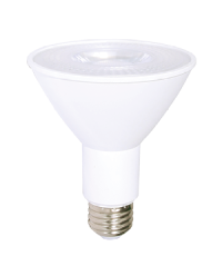 LED Light bulb PAR30 3000K