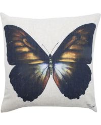 Furniture and decoration Butterfly