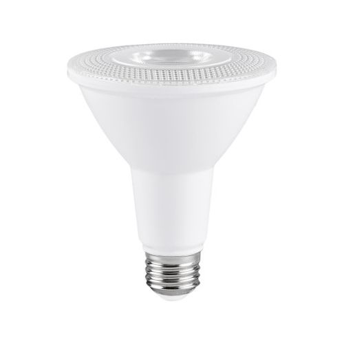 LED Light bulb PAR30 DEL