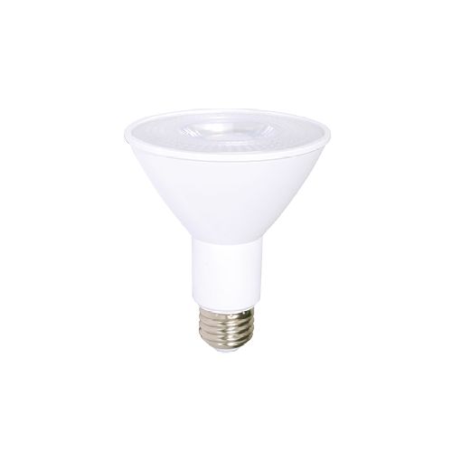 LED Light bulb PAR 30 DEL